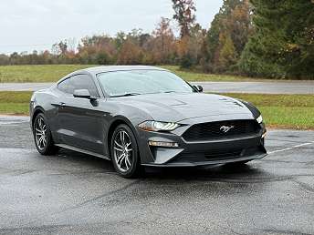 Gray Ford Mustang Coupe 2019