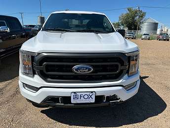 Fox Ford Wolf Point Mt