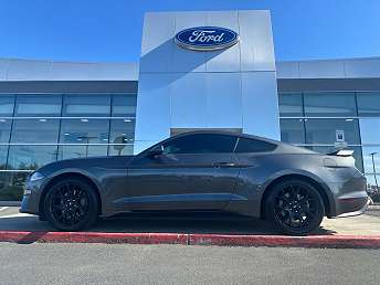 Ford Mustang GT on the road to Le Mans | The Courier Mail