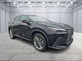 2024 Lexus NX 350 