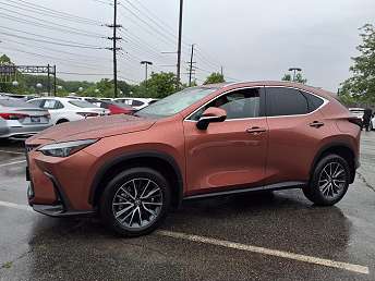 Bronze Lexus NX 250 2025